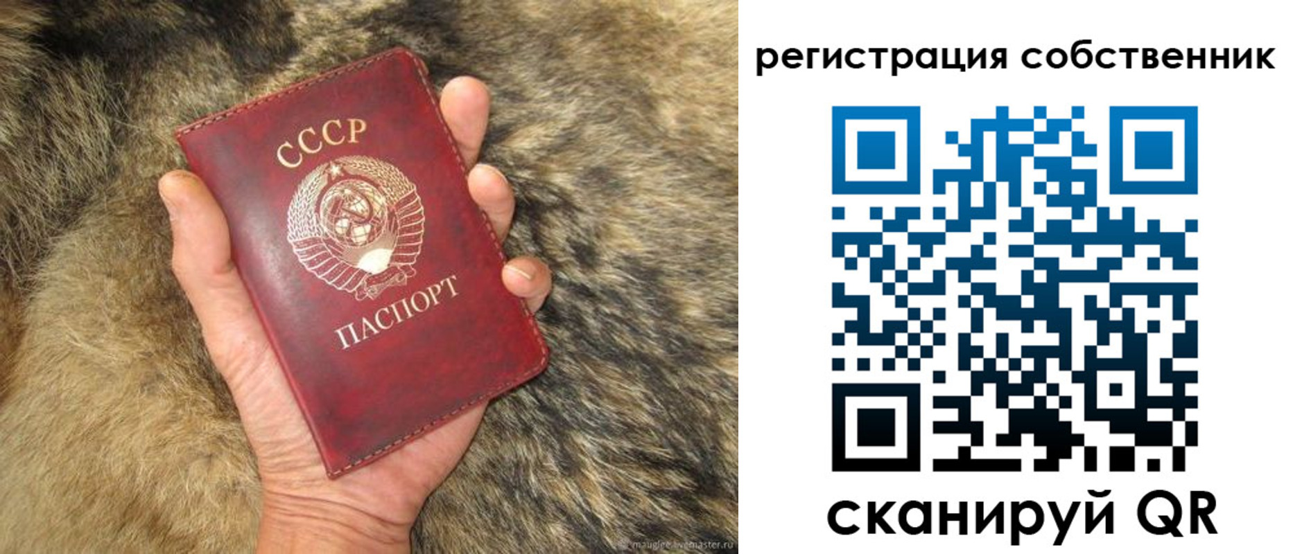 прописка 2025 в Касимове